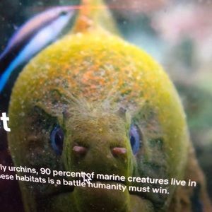 Meet your Posher, John